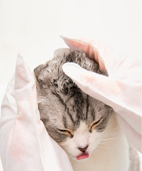 Henlopaw - Cat Shower Glove